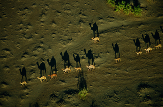 Exhibition of Photographs National Geographic